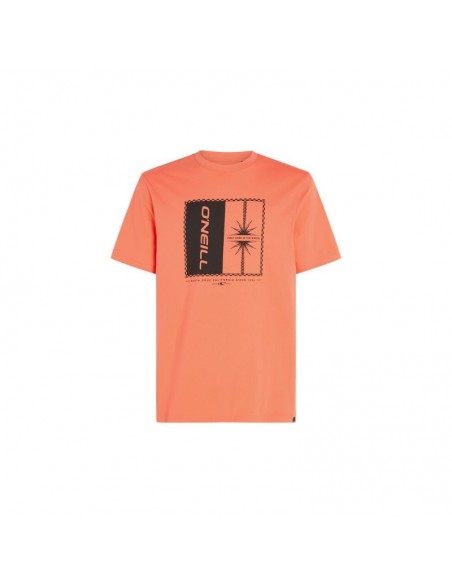 O'Neill Mix Match Palm TShirt M 92800613905