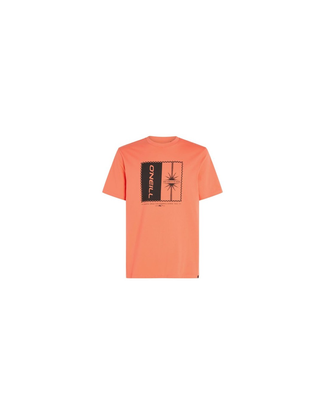 Men's T-Shirts ONeill Orange