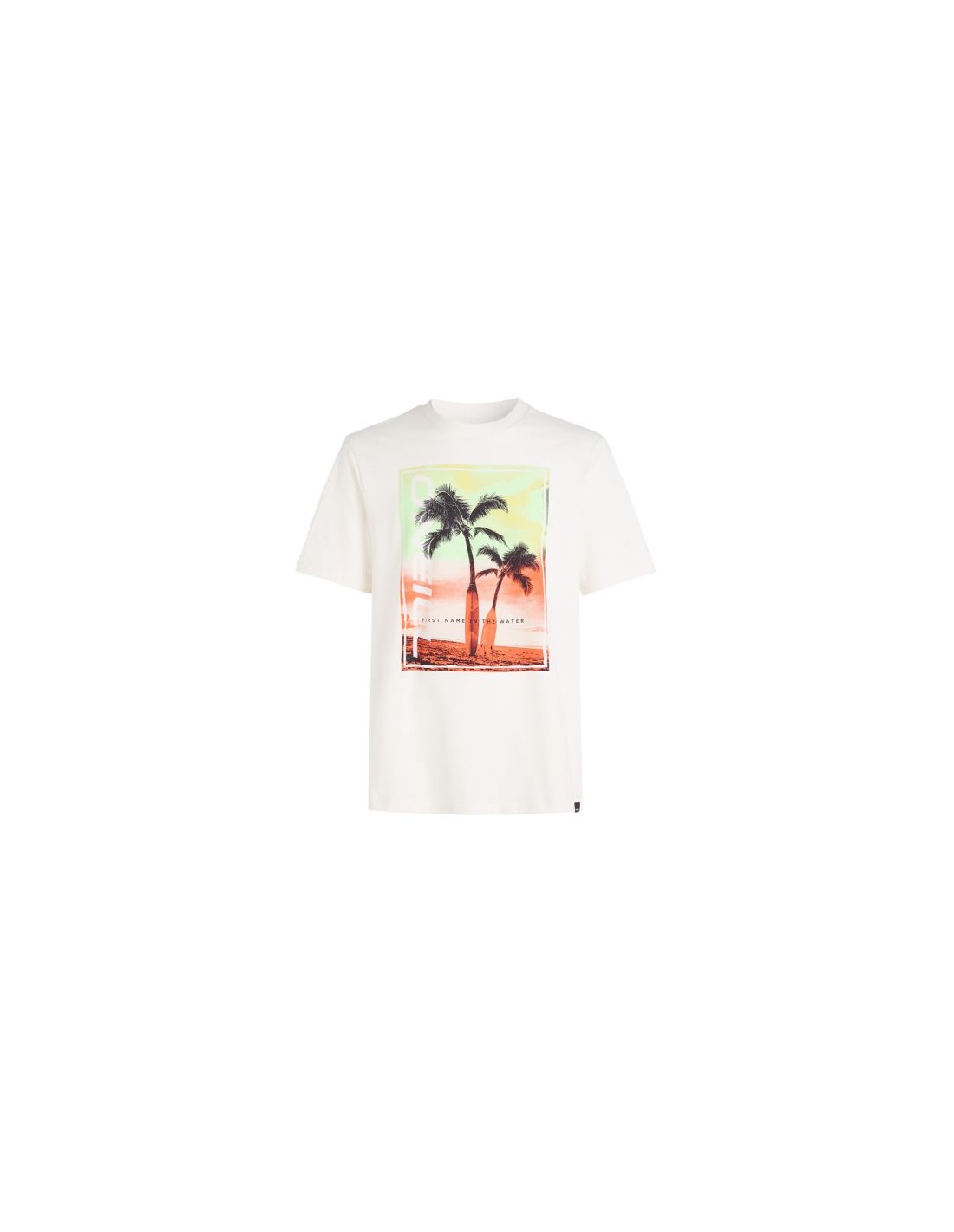 Men's T-Shirts ONeill White