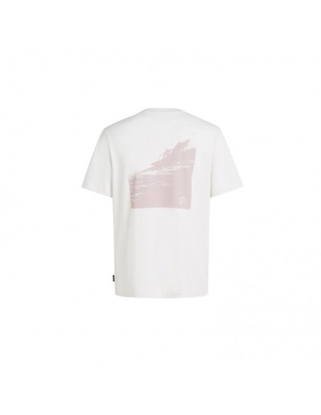 O'Neill Og Bt TShirt M 92800613964