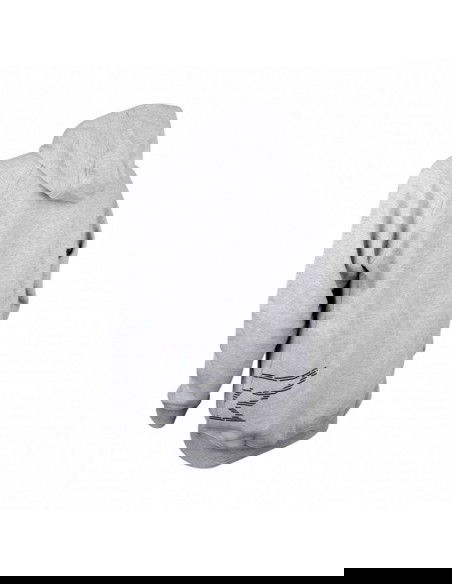 Tempish Veateq W sweatshirt 1350000549