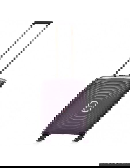 SwissBags Echo Cabin Case 16578