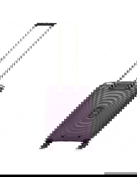 SwissBags Echo Cabin Case 16578