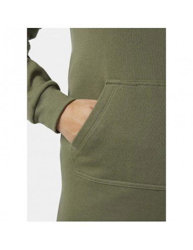 Helly Hansen Core Hoodie Dress W 54079 421