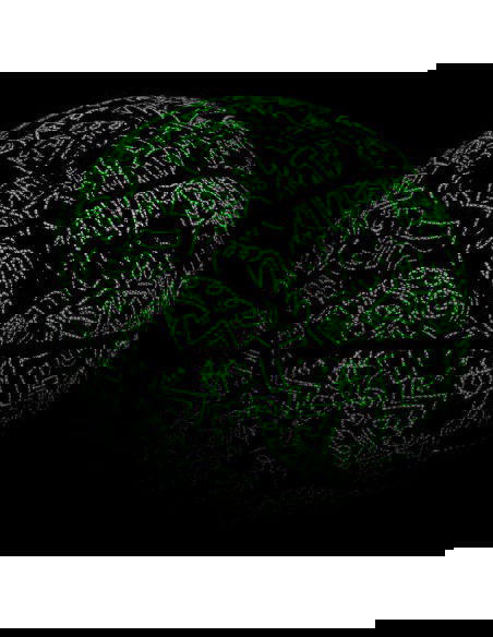 Meteor Fluo 7 16751 basketball