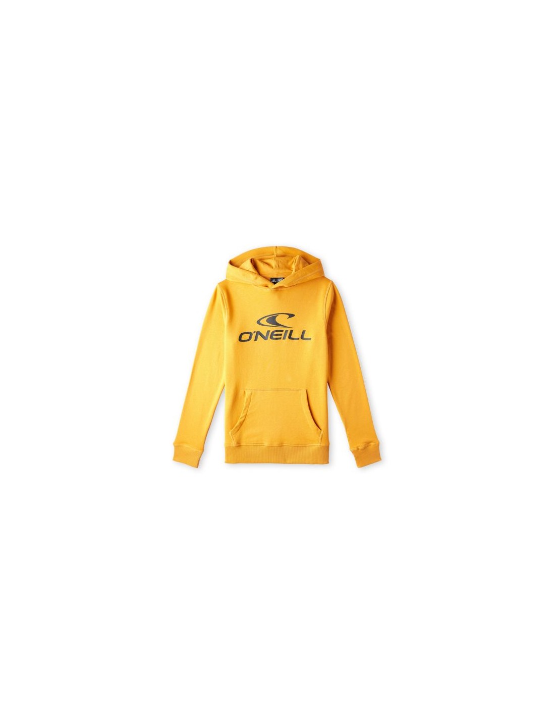 O'Neill Logo Hoodie Jr 92800615006