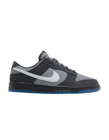 Nike Dunk Low Anthracite FV0384001 MBS