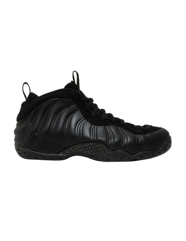 Nike Air Foamposite One Anthracite 2023 FD5855001 MBS