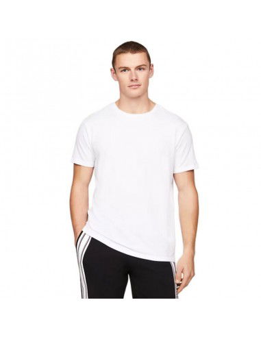 Tommy Hilfiger 2P Ss Tee M Tshirt UM0UM02762 white
