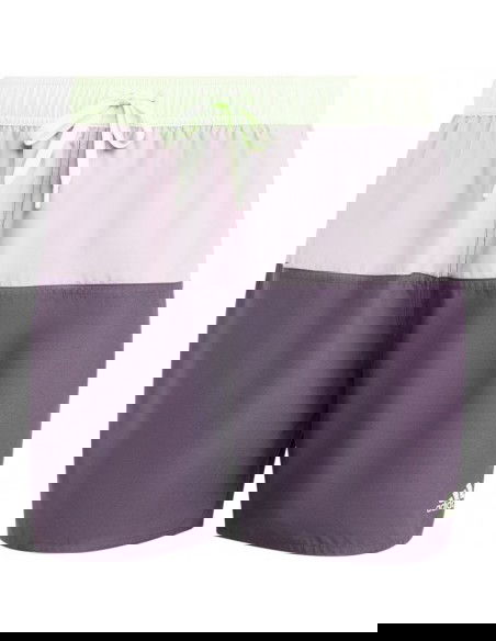 adidas Colorblock CLX M swimming shorts IR6226