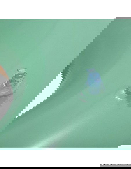 Bestway Fiesta swimming ring 107 cm 36294 5812