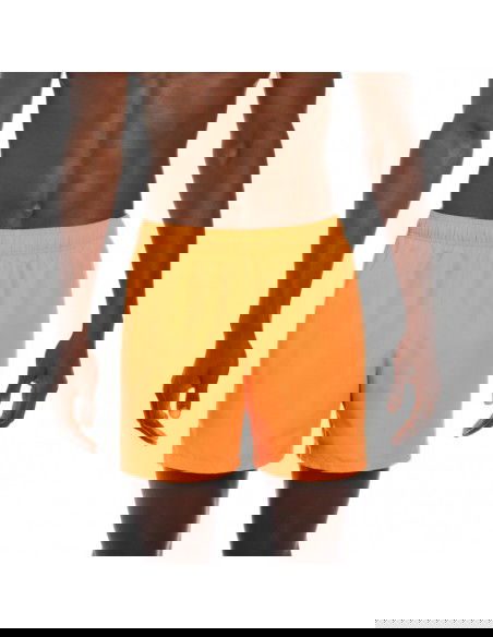 Nike Volley Short M NESSA560 811 shorts