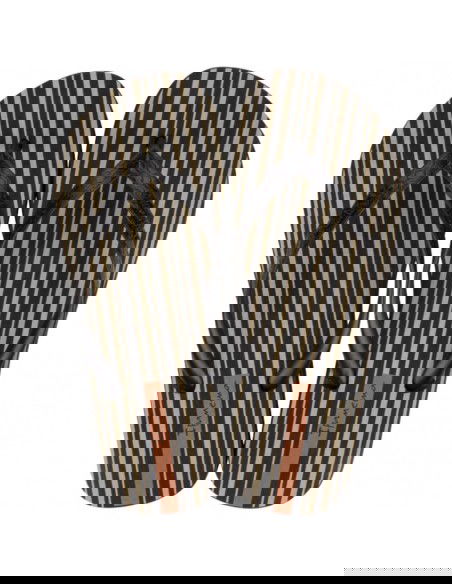 Ipanema Classica Hap W 83539AR971 flipflops