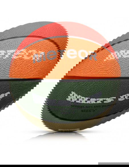 Meteor What's up 5 basketball ball 16796 size 5