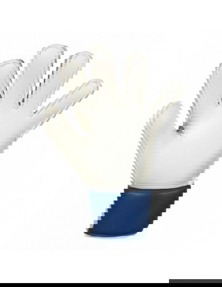 Select v24 Flexi Grip goalkeeper gloves T2618421