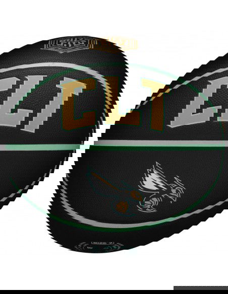 Wilson NBA Team City Collector Charlotte Hornets Ball WZ4016404ID