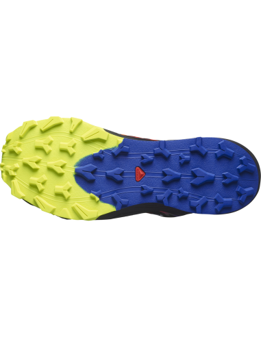 Salomon Thundercross GTX 475514
