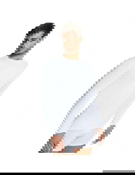 Tommy Hilfiger Longsleeve 2pack Regular Tshirts M UM0UM03019