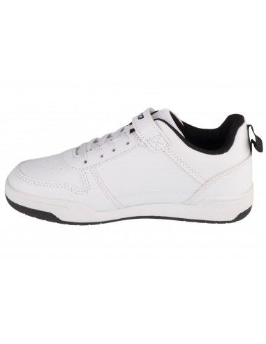 Lotto Toco BC K 2600320K1011