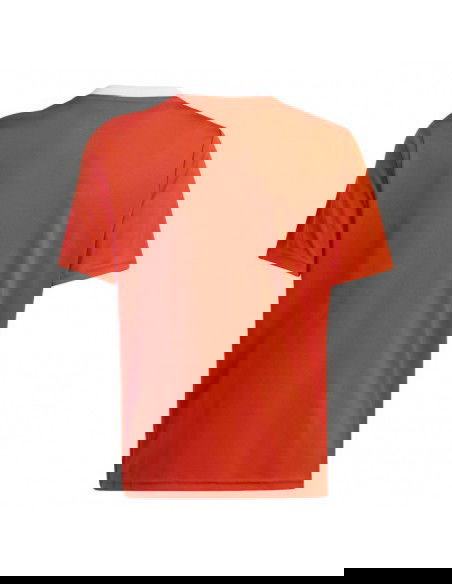 Adidas Team Icon 23 Jr Tshirt IC1254