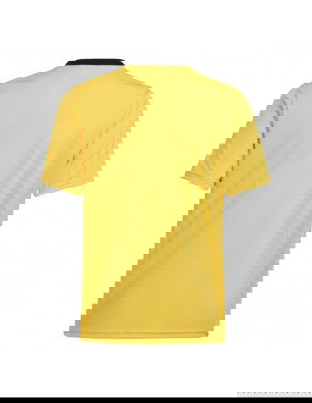 Adidas Team Icon 23 Jr Tshirt IC1253