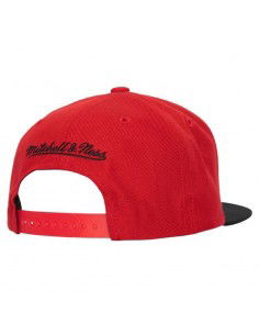 Mitchell Ness NBA Chicago Bulls M cap HHSS3264CBUYYPPPRDBK 2