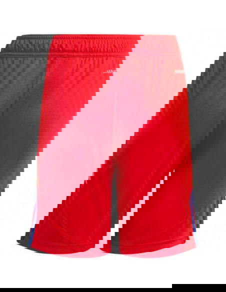 Adidas Tiro 24 Jr IT2422 shorts