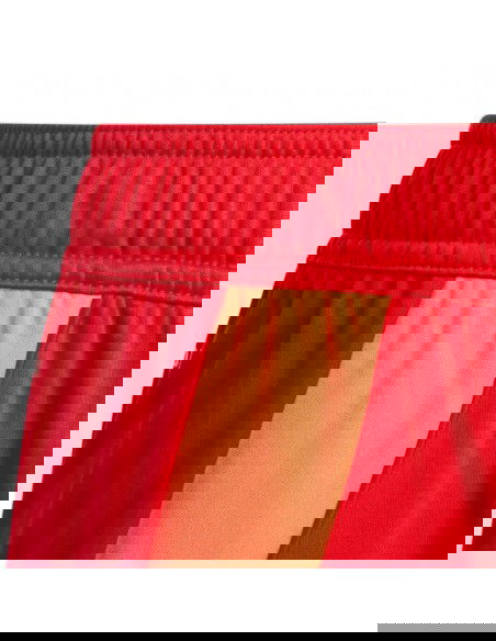 Adidas Tiro 24 Jr IT2422 shorts