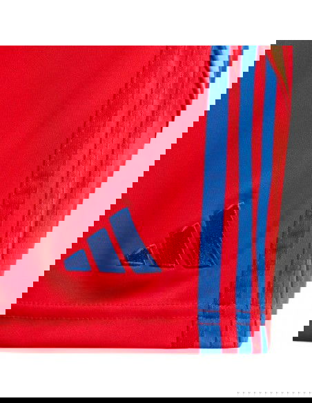 Adidas Tiro 24 Jr IT2422 shorts