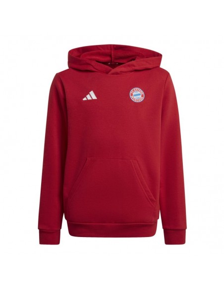 Adidas Bayern Munich Jr IT4134 sweatshirt