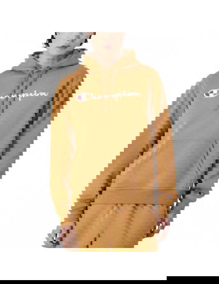 Champion Hooded Sweatshirt M 220253MS034