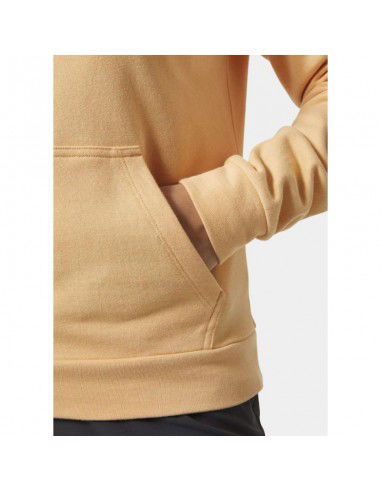 Helly Hansen sweatshirt with hood W Core Hoodie W 54033 316