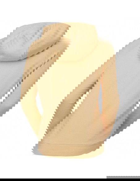 Helly Hansen sweatshirt with hood W Core Hoodie W 54033 316