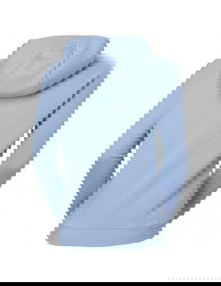 Helly Hansen sweatshirt with hood W Core Hoodie W 54033 627