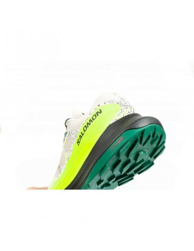 Salomon Ultra Glide 473074 running shoes