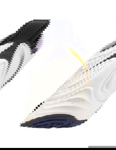 Mizuno Wave Momentum 3 MID M V1GA231743 volleyball shoes