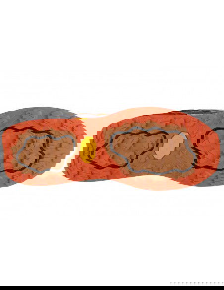 New Balance Fresh Foam Hierro v7 MTHIER7M