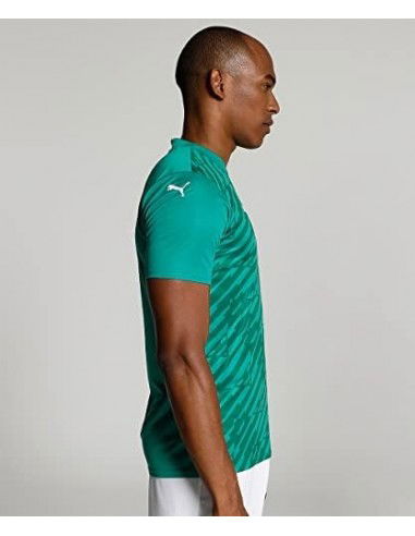 Puma teamUltimate M Tshirt 705371 05