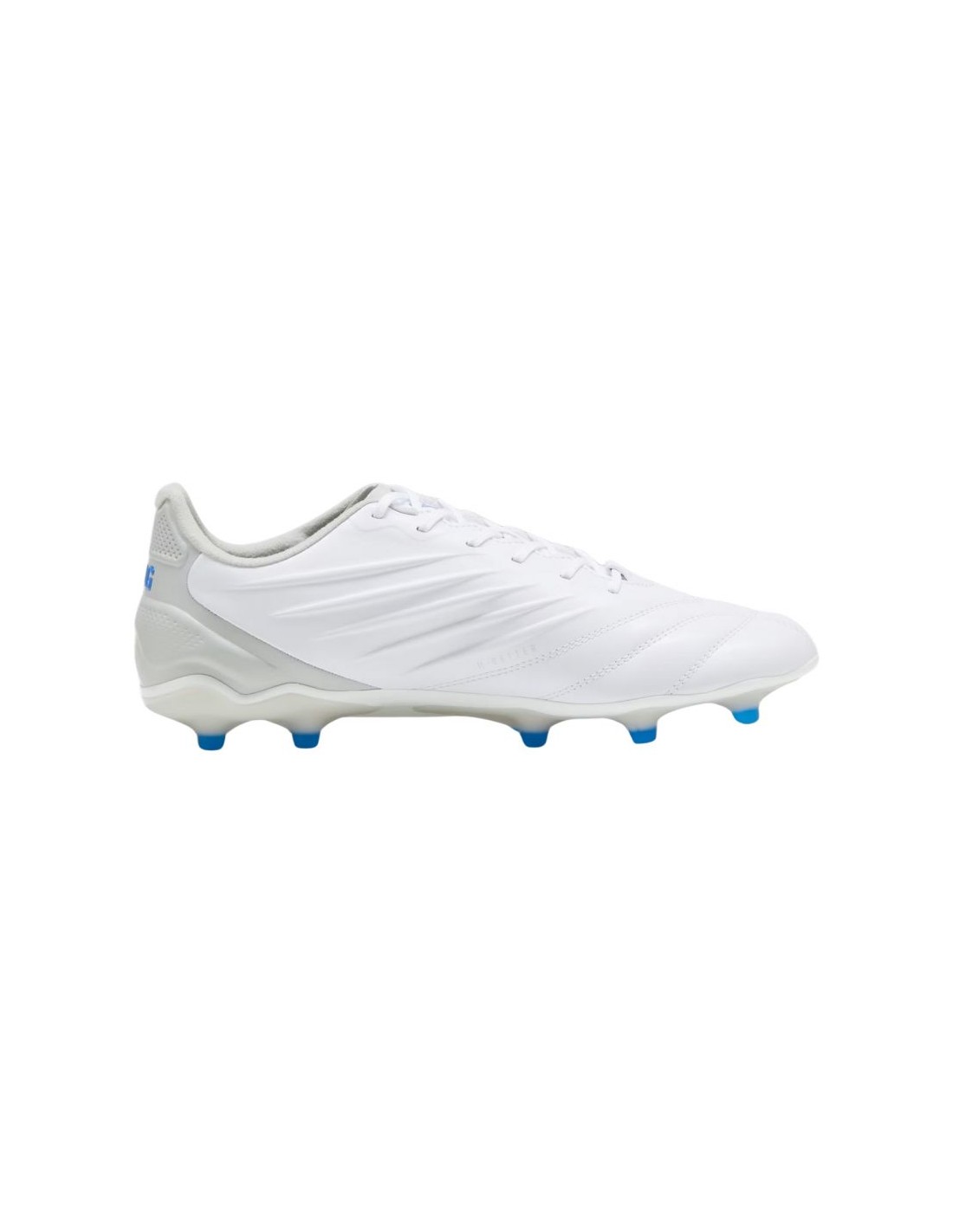 Puma King Pro FGAG M 107862 02 shoes