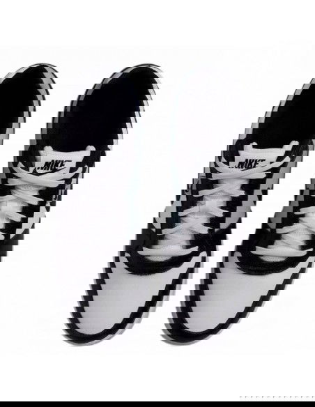 Nike Ebernon Low Prem AQ1774102 shoes