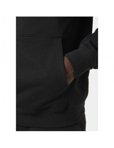 Helly Hansen Core Graphic Sweat Hoodie M 53924 993