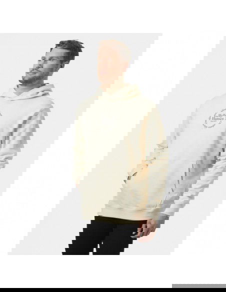 Helly Hansen Core Graphic Sweat Hoodie M 53924 034