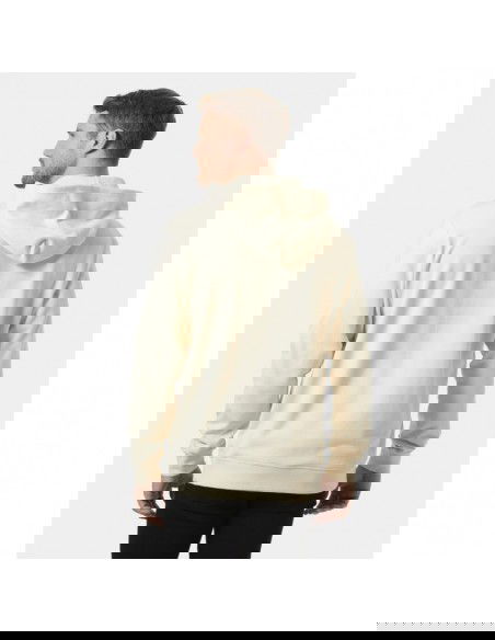 Helly Hansen Core Graphic Sweat Hoodie M 53924 034