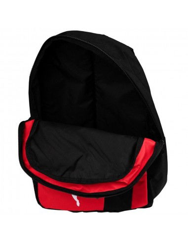 Backpack Puma teamGOAL 23 076854 01