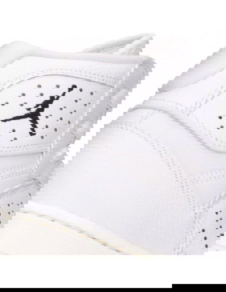 Nike Jordan Access M AR3762100 shoes