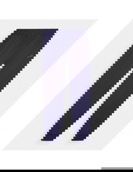 Trousers 4F M 4FWMM00TTROM094331S