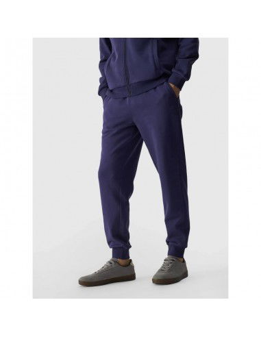 Trousers 4F M 4FWMM00TTROM094331S
