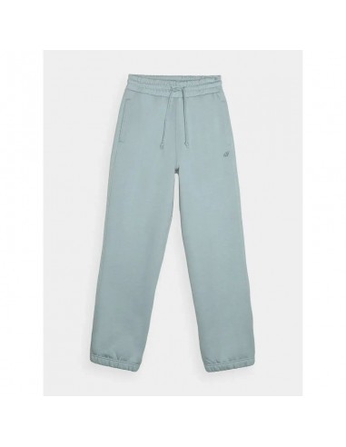 Trousers 4F W 4FWAW24TTROF081947S