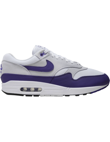 Nike Air Max 1 "Field Purple" DZ4549101 GLD