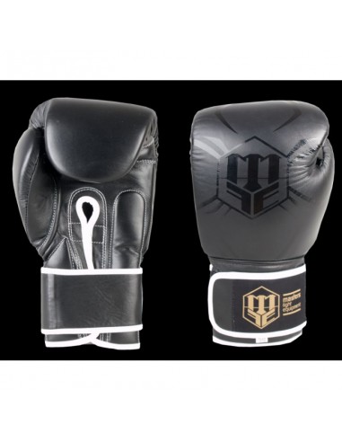 Masters Boxing Gloves 0180521601